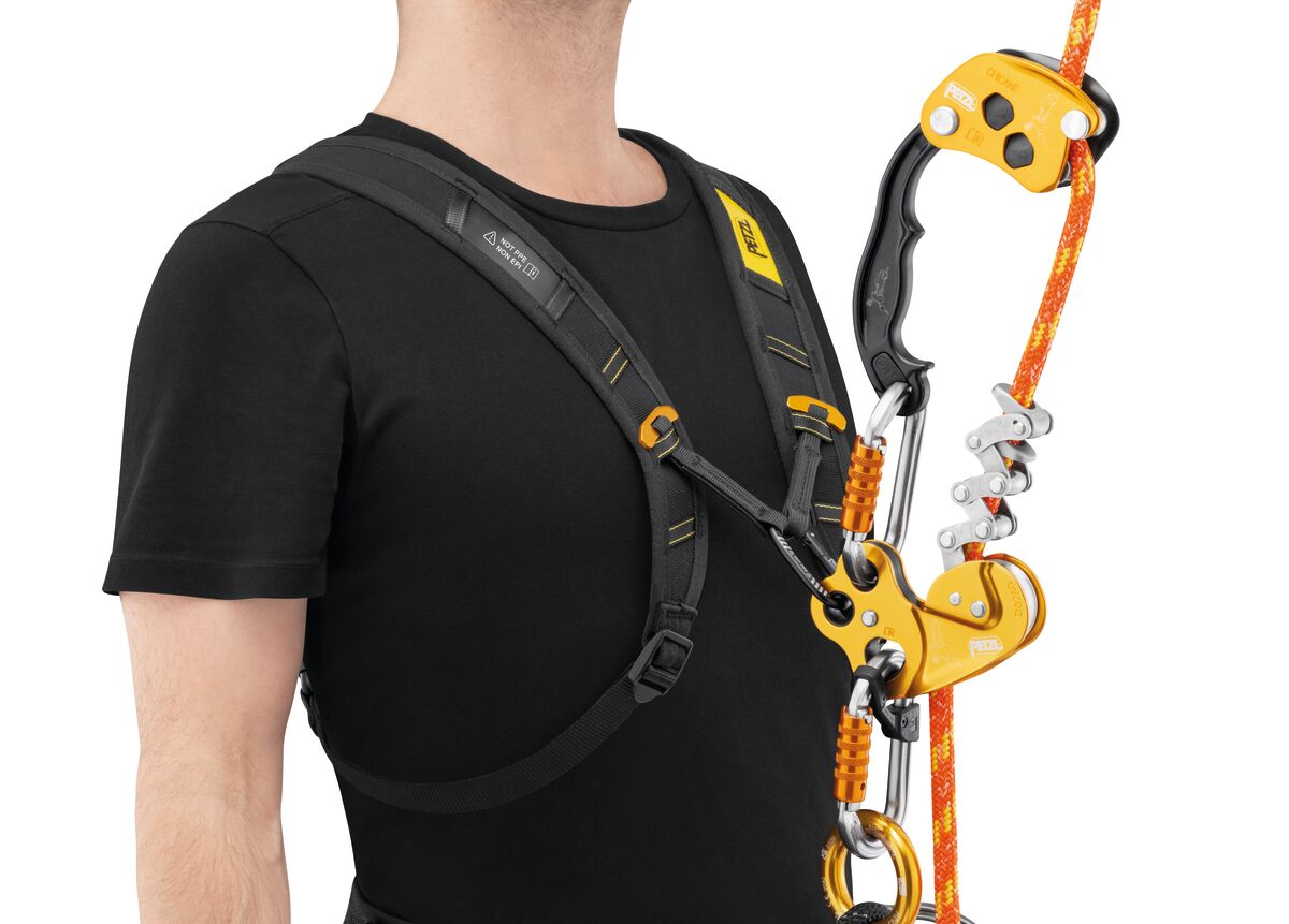 Arborist wearing Petzl SEQUOIA Shoulder Straps in Torso mode with SRS ascent system on the sternal strap - imagen 7
