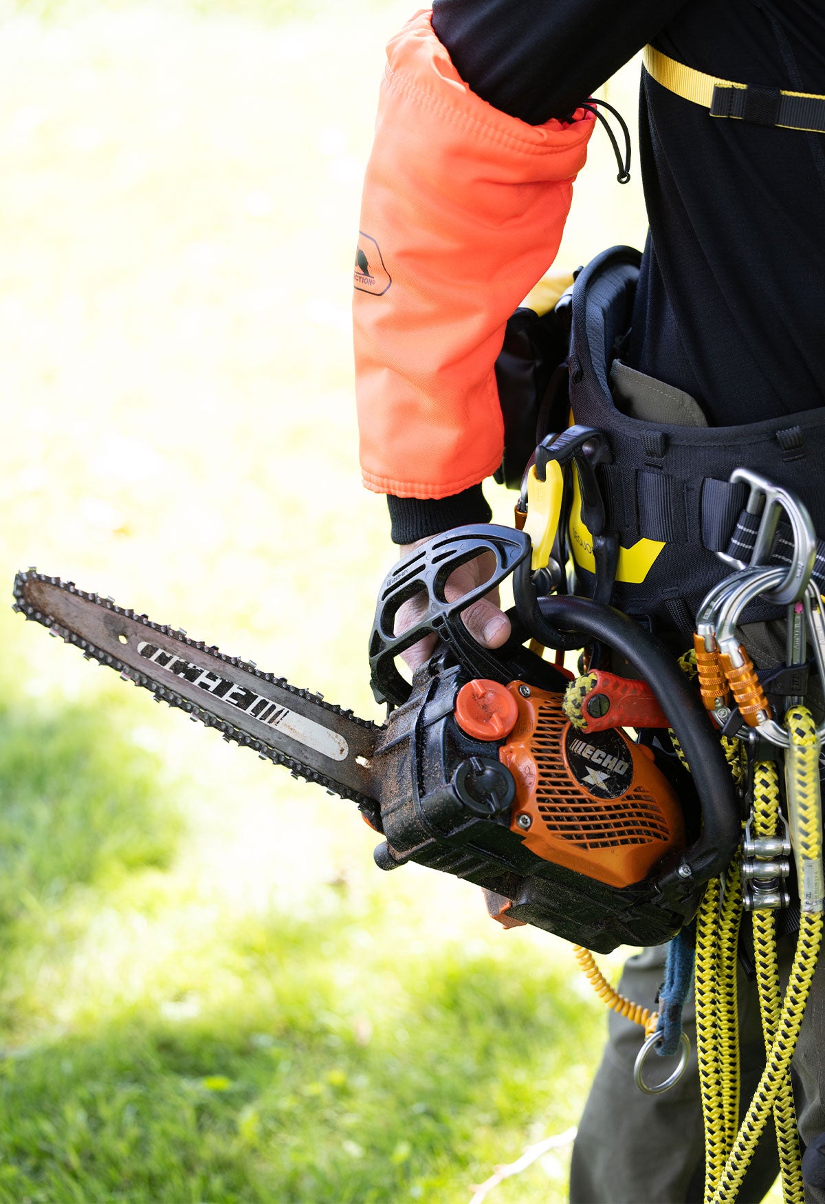 Chainsaw attached to the chainsaw leash point of a Petzl SEQUOIA PLUS harness - imagen 9