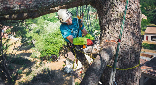 The Importance of Ear Protection in Forestry – Find this article on MTN Shop US.