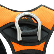 KONG X-FIVE HARNESSES– – Now available at MTN Shop US. - imagen 3