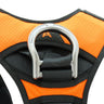 KONG X-FIVE FAST HARNESSES– – Now available at MTN Shop US.