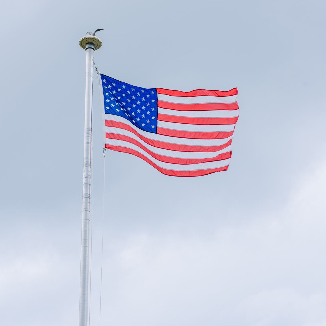 Vestil Manufacturing Corp Stainless Steel Flag Poles and American Flags– – Now available at MTN Shop US. - imagen 2