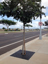 Vestil Manufacturing Corp Tree Grates– – Now available at MTN Shop US.
