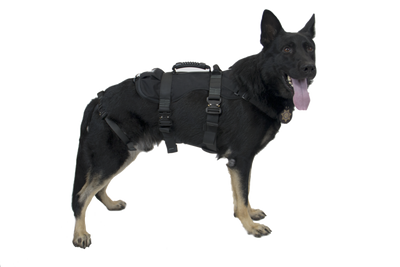 CMC K9 Proseries Rappel Harness, rappel harness for working dogs