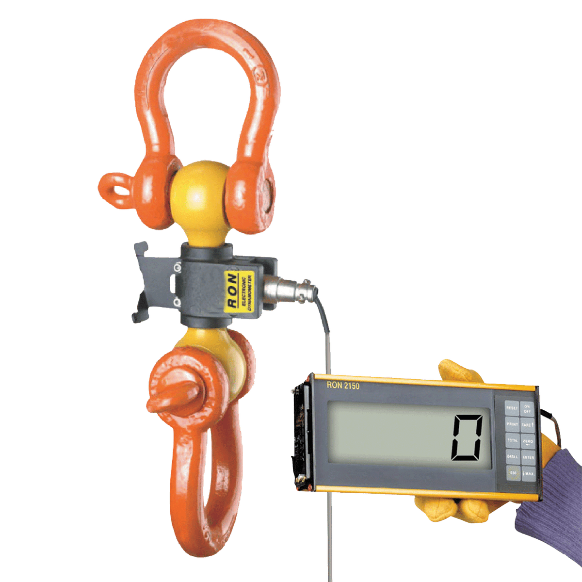 Eilon Engineering Ron Crane Scales™ Ron 2150 Wired Dynamometer with 2"/50mm Attachable Display– Ron Crane Scales™ Ron 2150 Wired Dynamometer with 2"/50mm Attachable Display – Now available at MTN Shop US. - imagen 2