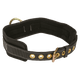 Standard 1D Restraint Body Belt
